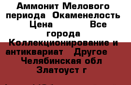 Аммонит Мелового периода. Окаменелость. › Цена ­ 2 800 - Все города Коллекционирование и антиквариат » Другое   . Челябинская обл.,Златоуст г.